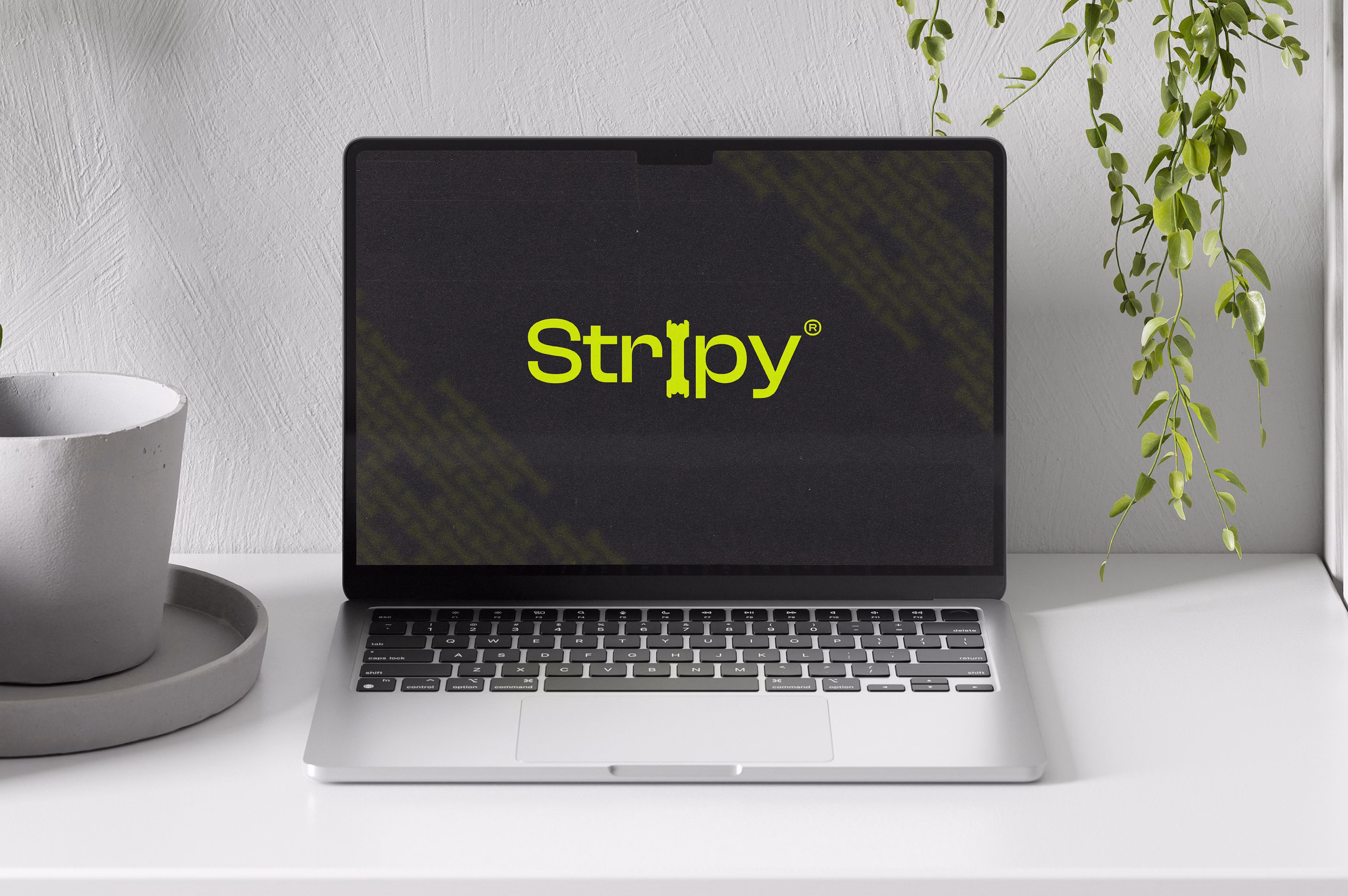 Stripy Nose Strips Brand Identity