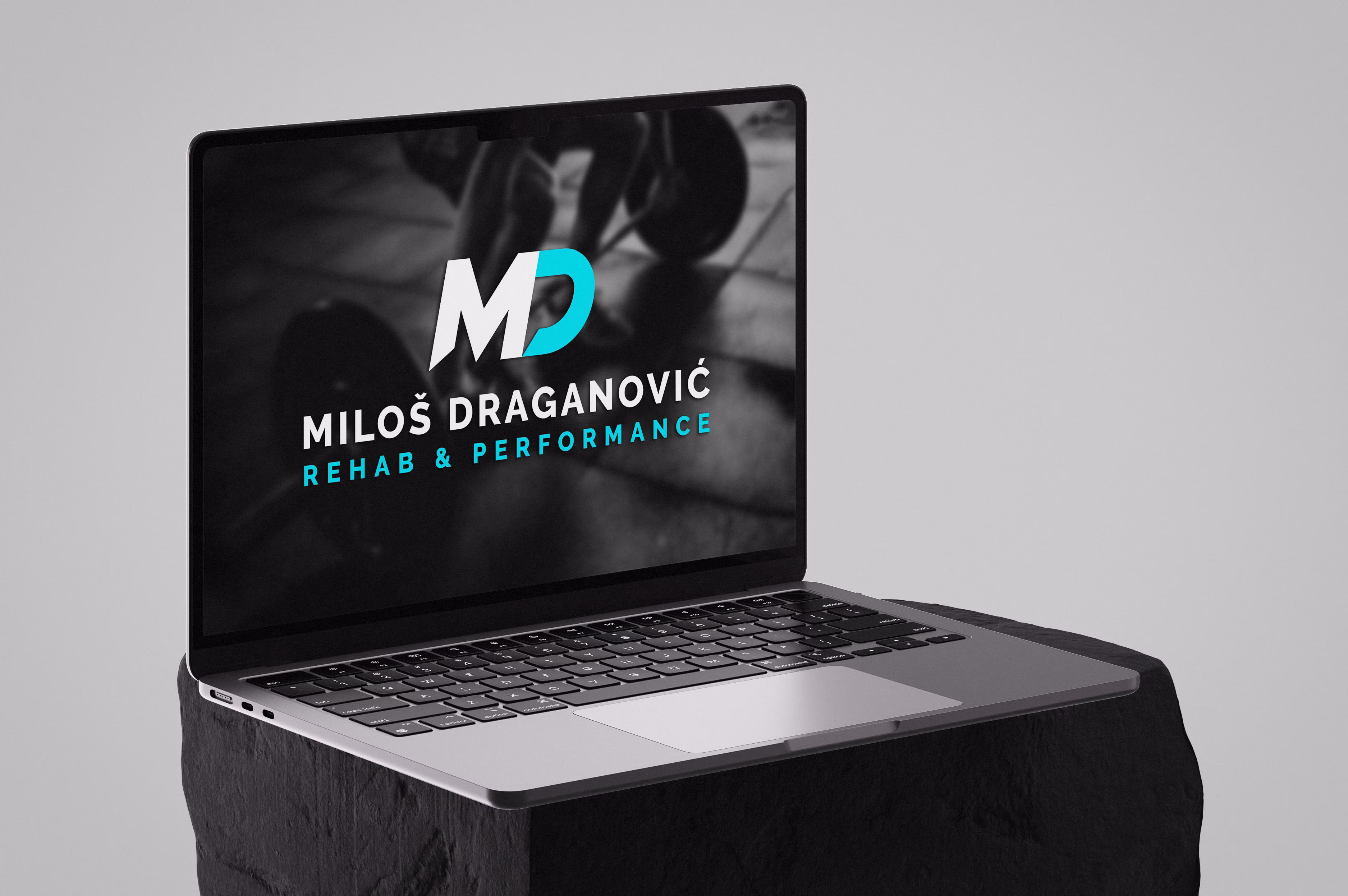 Milos Draganovic Rehab & Performance Logo System