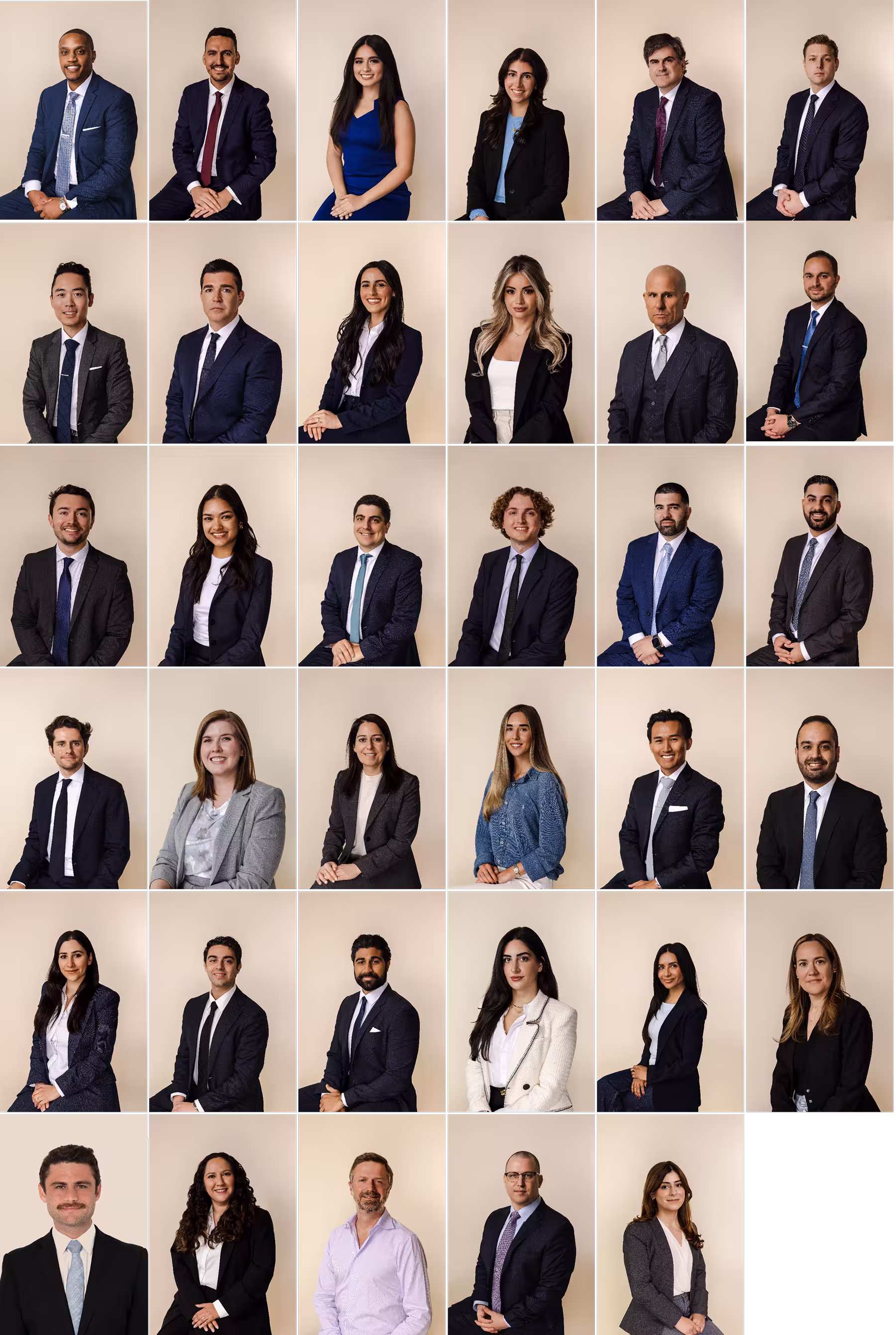 Shegerian & Associates team picture