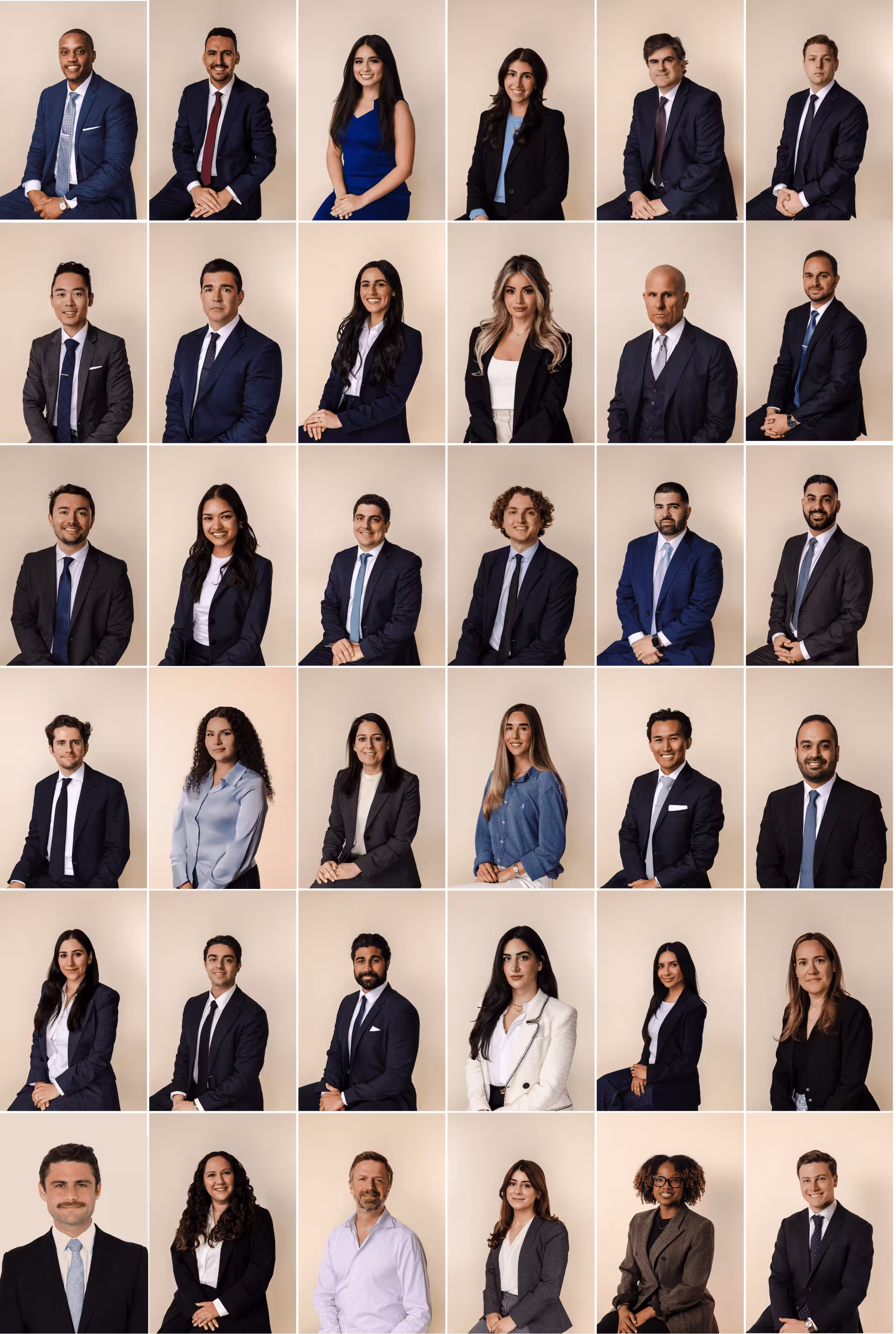 Shegerian & Associates team picture