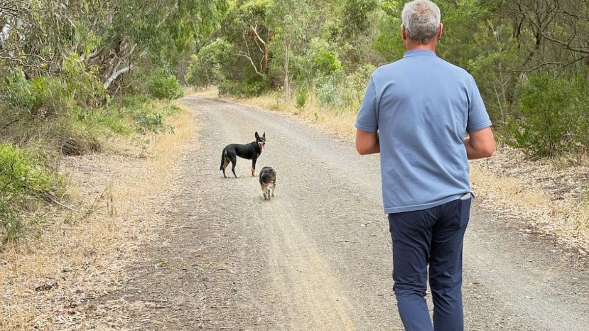 A CEO guide to Longevity