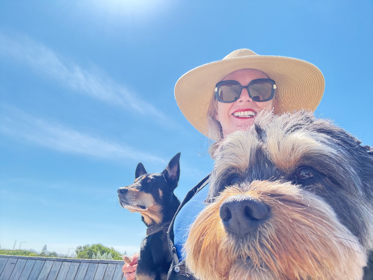 Sustainable Success and Wellbeing