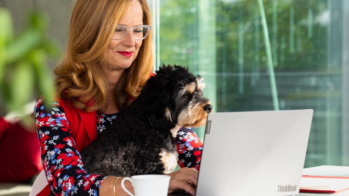 Winning in the Age of AI Overviews