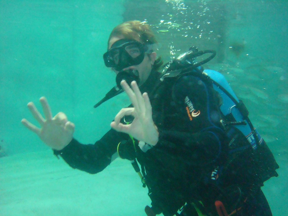 What you learn from a turtle