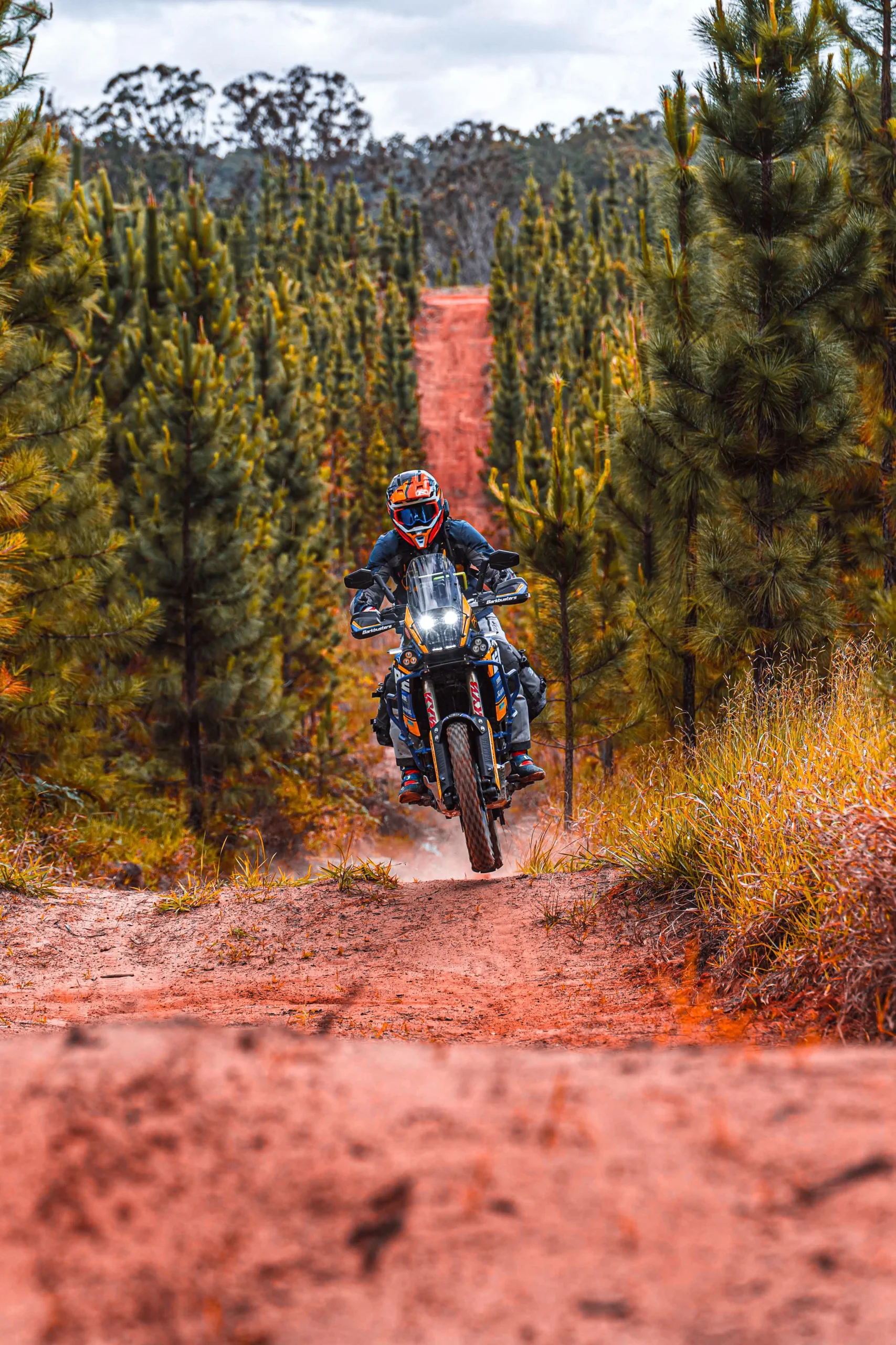 A adventure bike riding up a hill over a jump in the forest