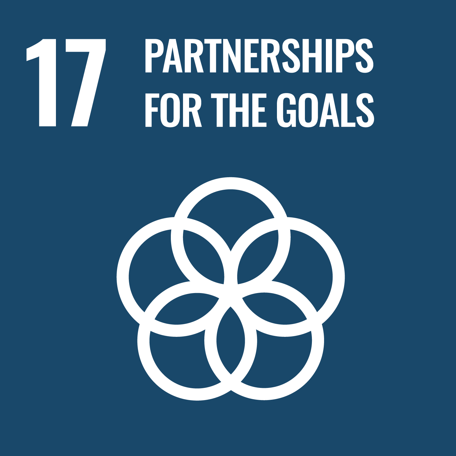 UNSDG goal 17