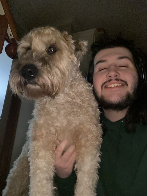 image of mobile game screenshot