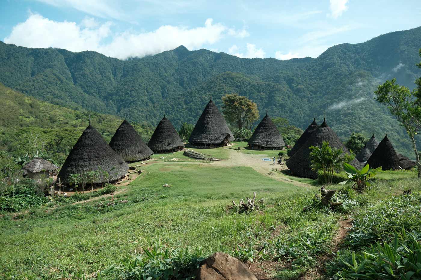 A scenic view of the traditional village of Wae Rebo in Flores, Indonesia. Several Mbaru Niang, the unique conical houses with thatched roofs, are arranged in a circle on a grassy plateau. The village is surrounded by lush green, forested mountains under a cloudy sky.