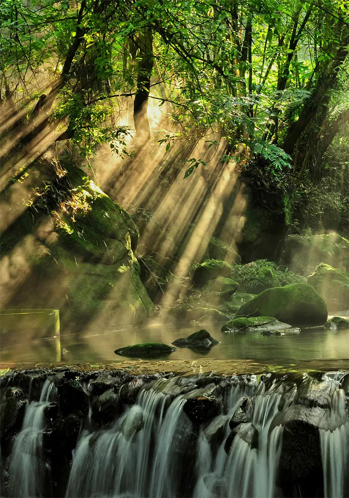 Cascade d'eau avec des rayons de soleil traversant des arbres