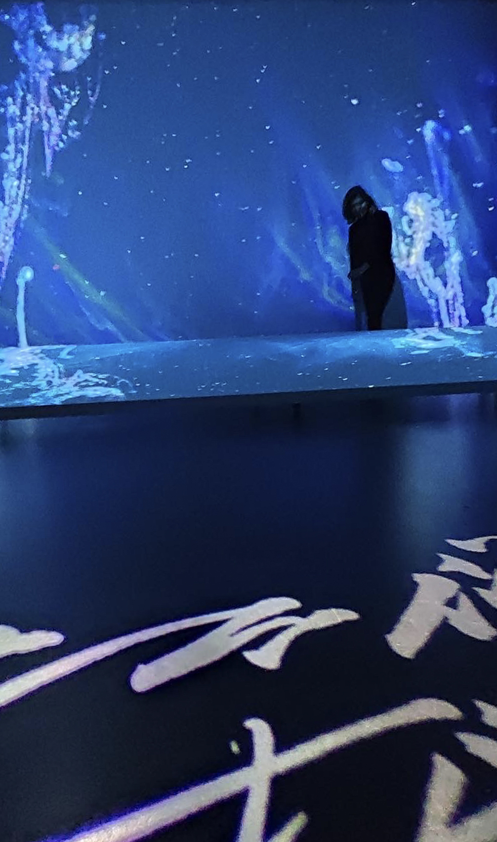 Scenography , Art Fondation, Sahar Famouri Studio