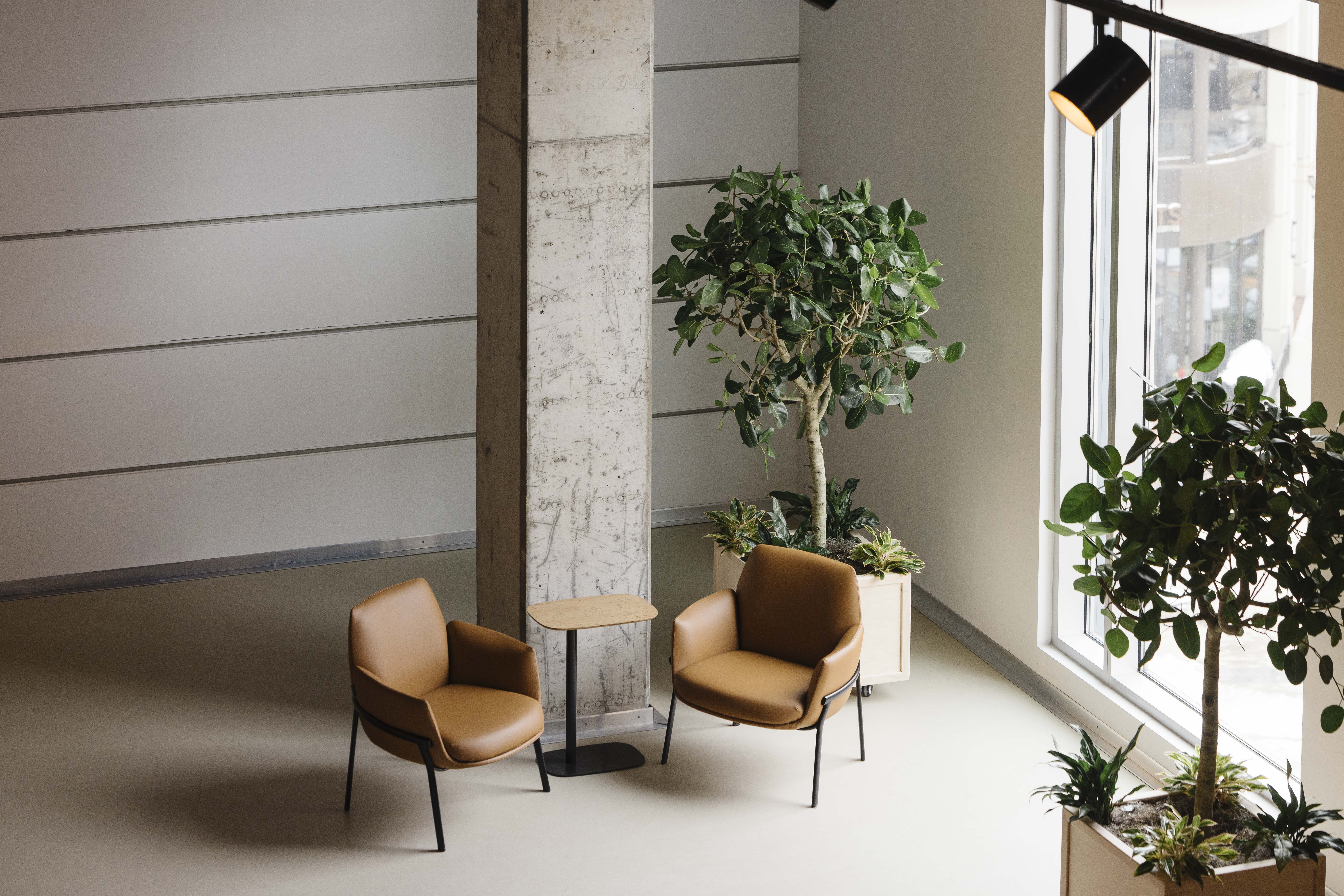 Bamboo Cowork Grand Rapids