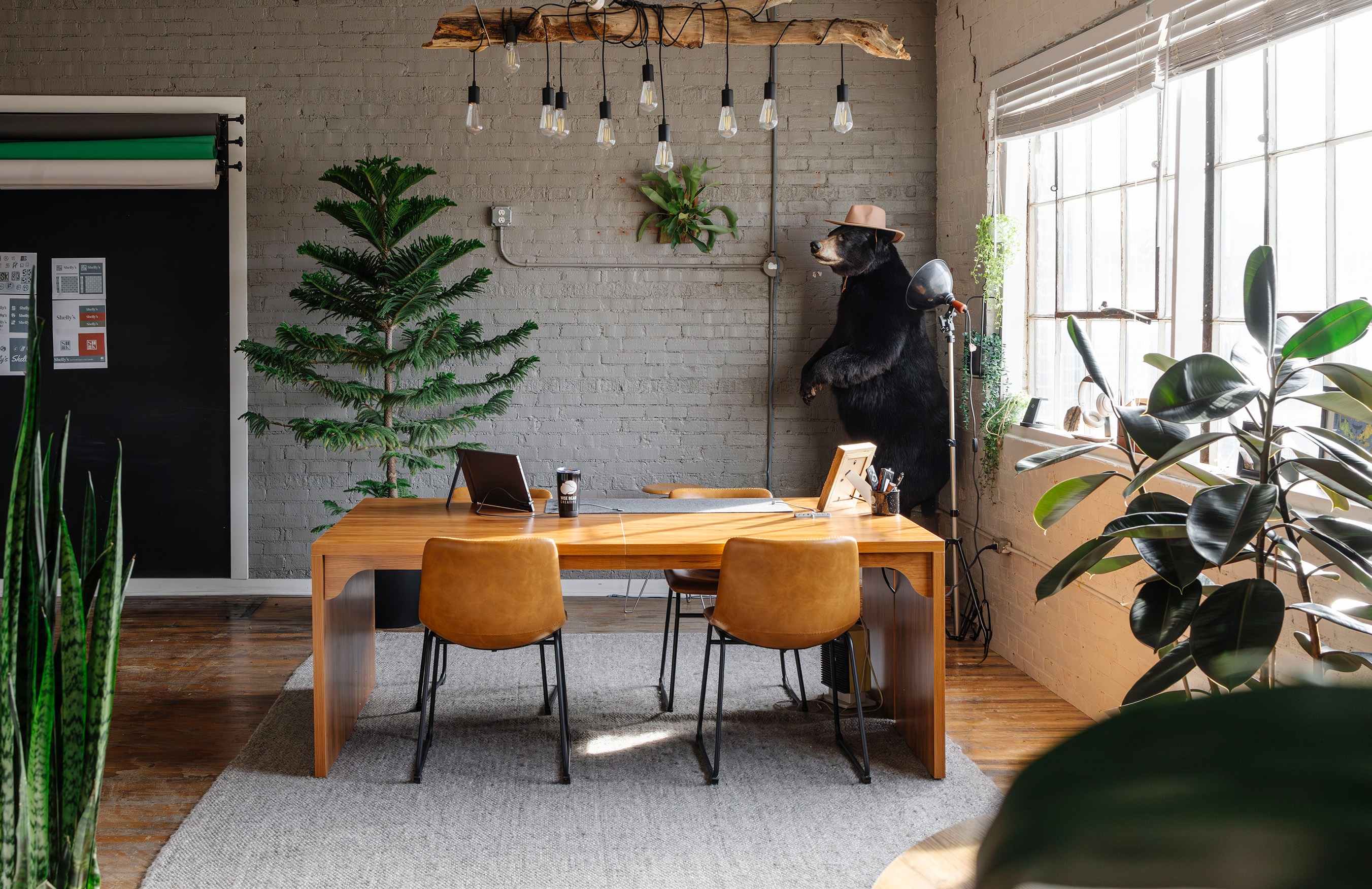 Wise Bear Creative | The Den