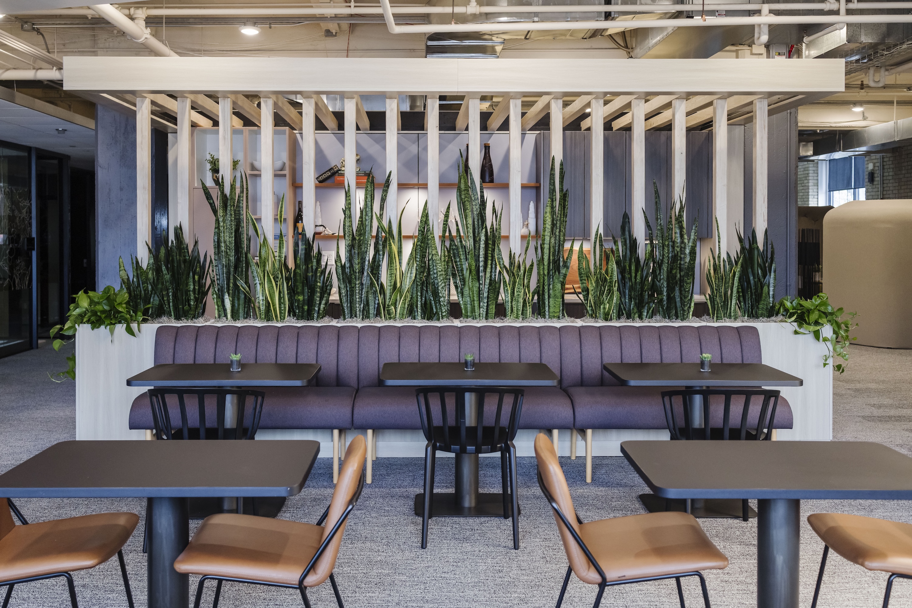 Custer Showroom