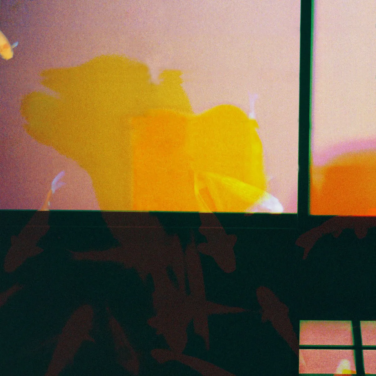 Archil & Léon - Pisces