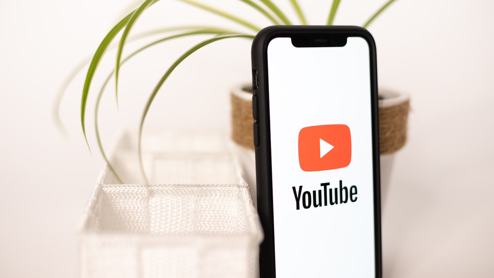 Smartphone affichant YouTube posé près d'une plante