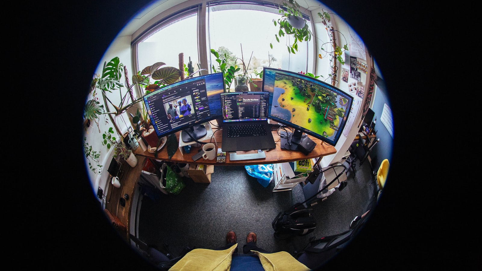 Bureau de monteur avec plusieurs écrans et des plantes