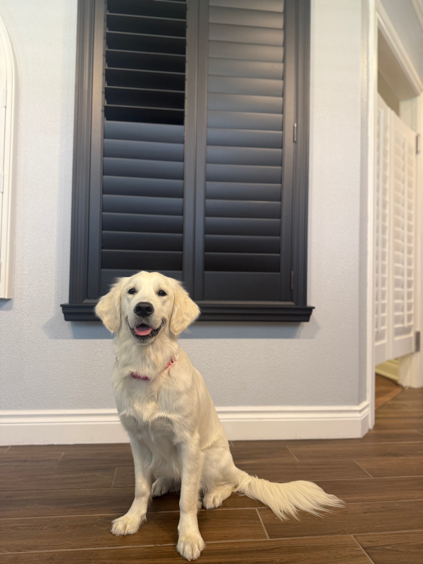 Summer, front of house team member