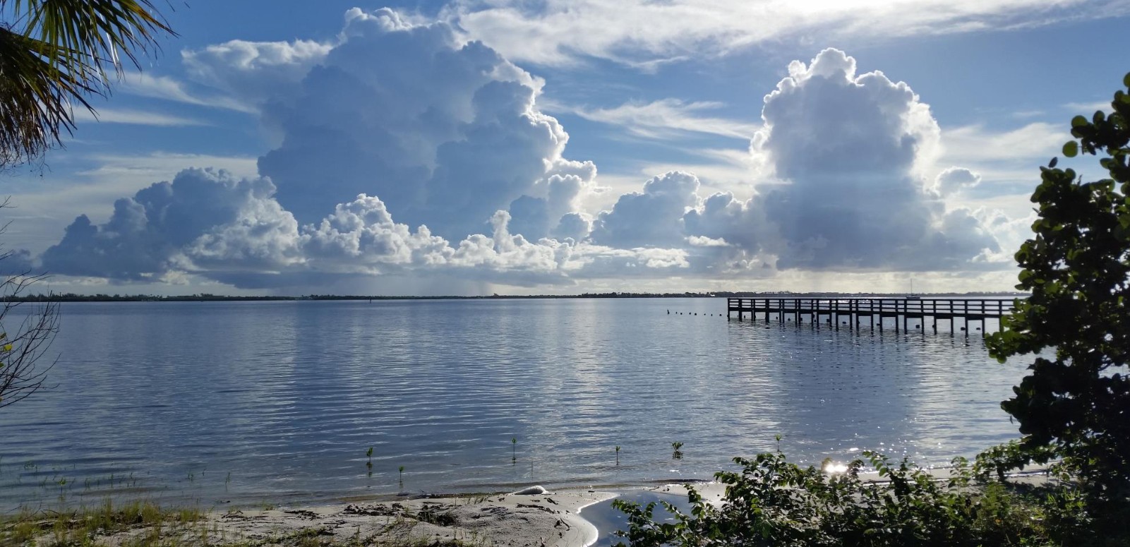 Riverfront homes in Sewall's Point, FL on the St. Lucie River — served by APShutters