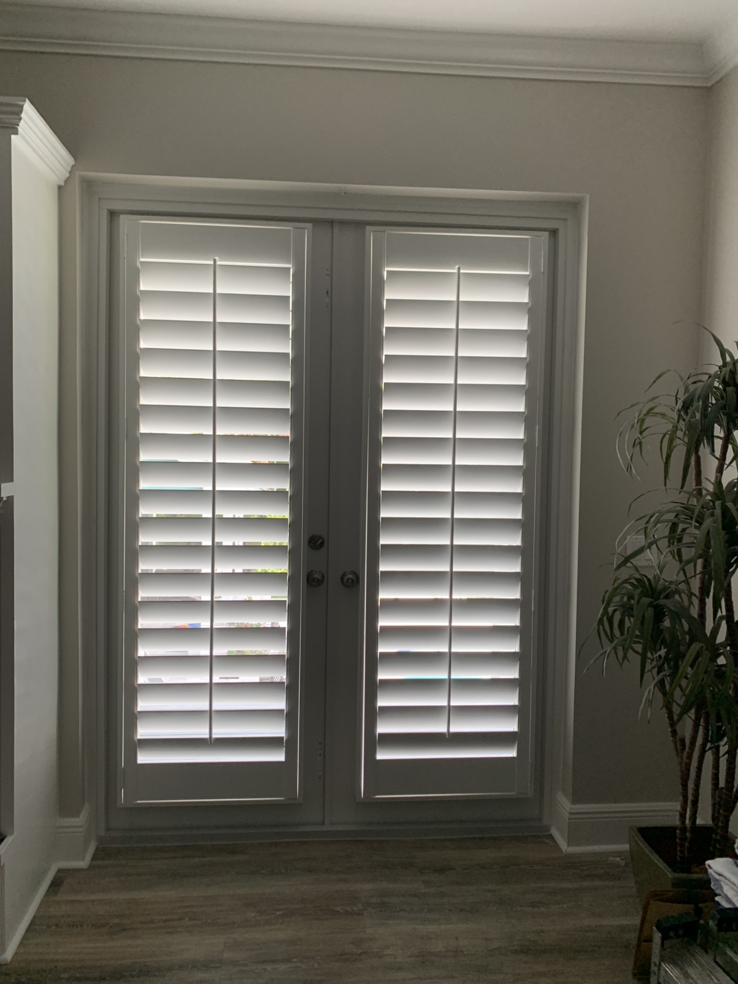 The same double French doors with white shutter louvers tilted toward closed