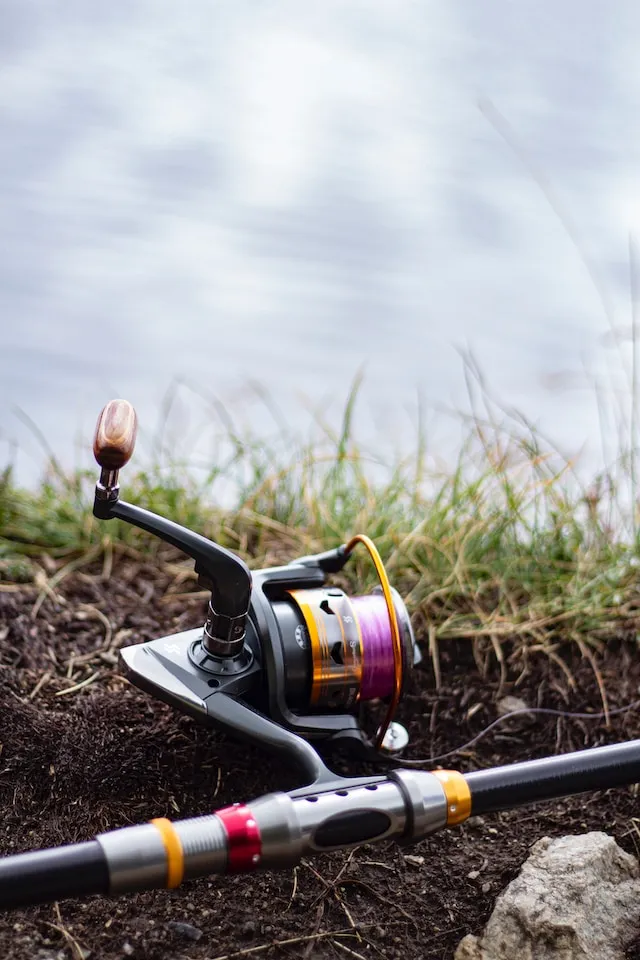 Fishing Reel