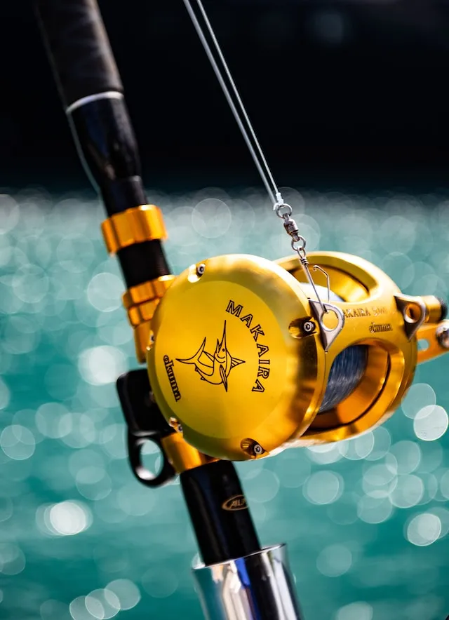 Fishing Reel