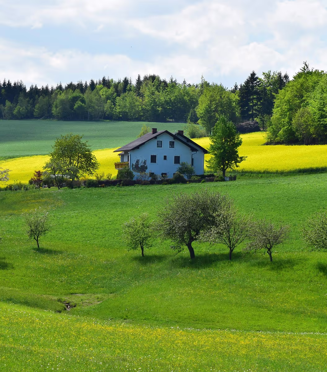 RealStruck-Webflow Template-Imag