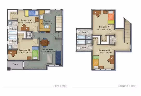 The Cedar floor plan