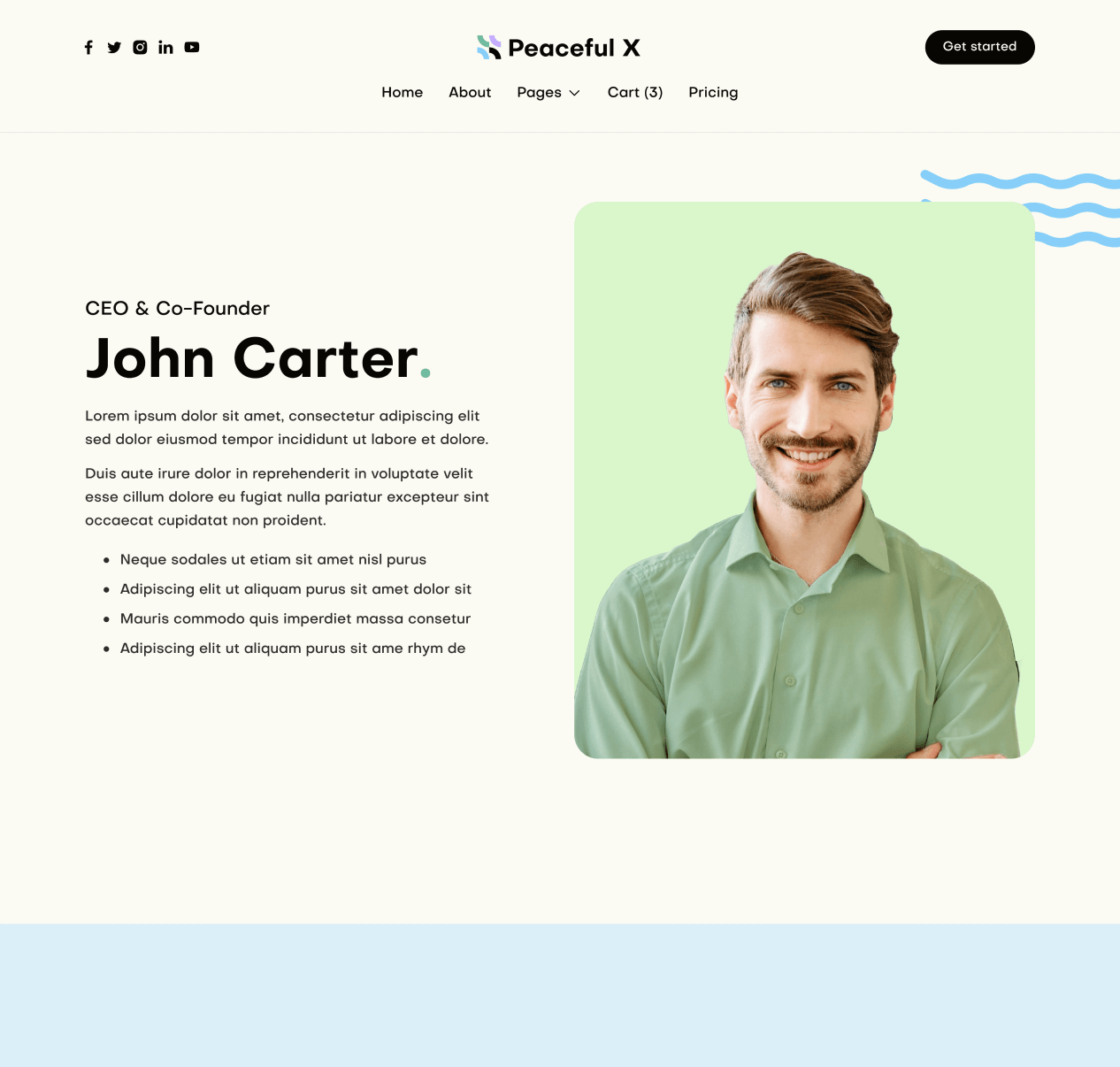 Peaceful X - Team Member Top Page Multi Purpose Startup Webflow Template 