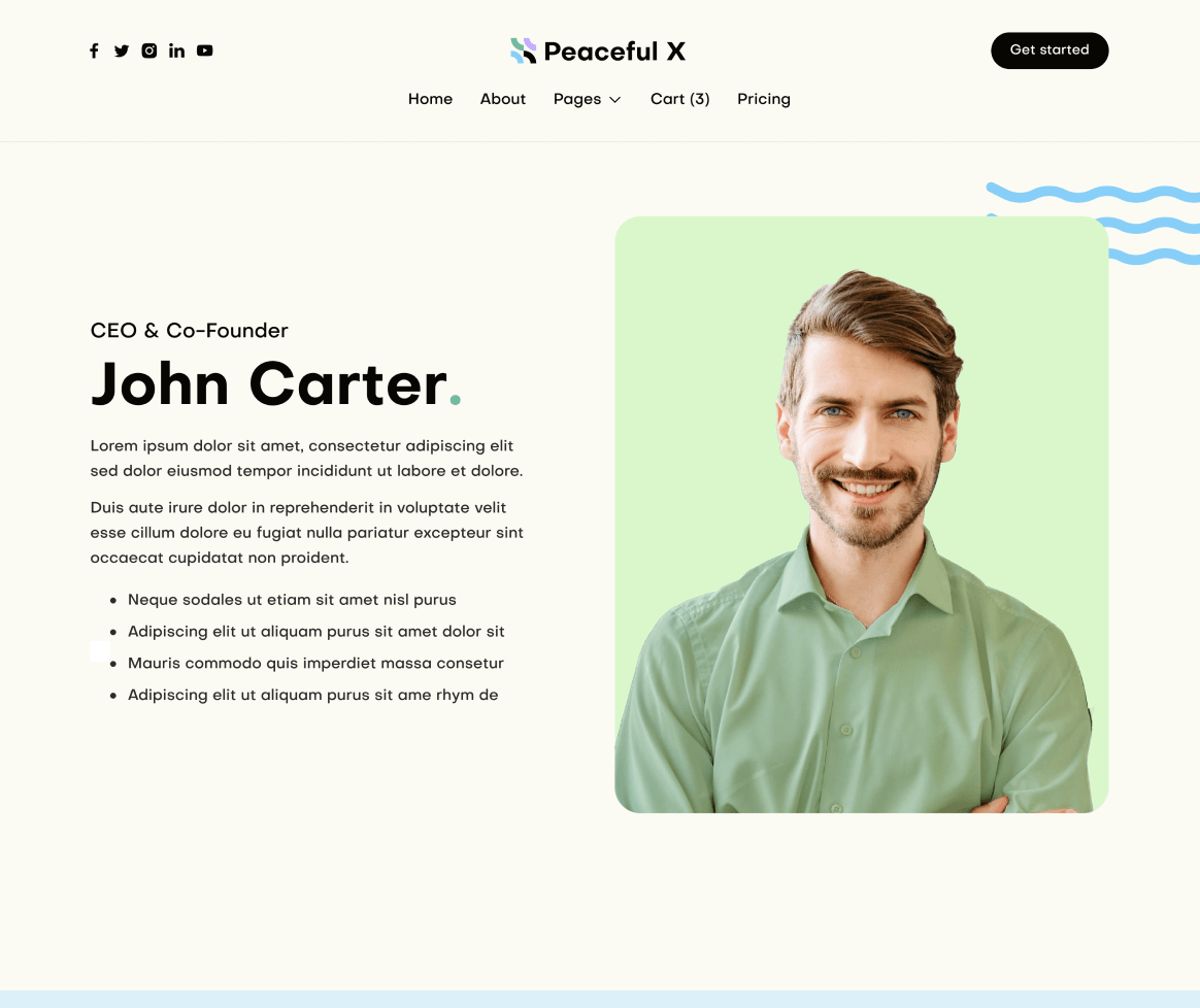 Peaceful X - Team Member Main Page Multi Purpose Startup Webflow Template