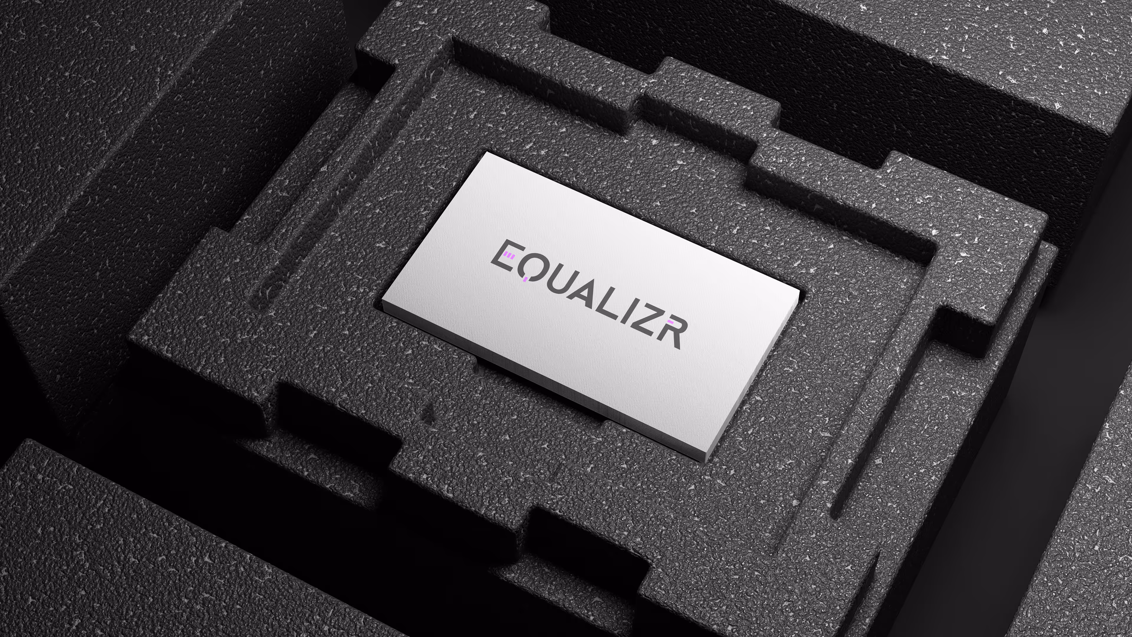 Branded EQUALIZR business card placed inside a textured black foam case for a premium unboxing look.