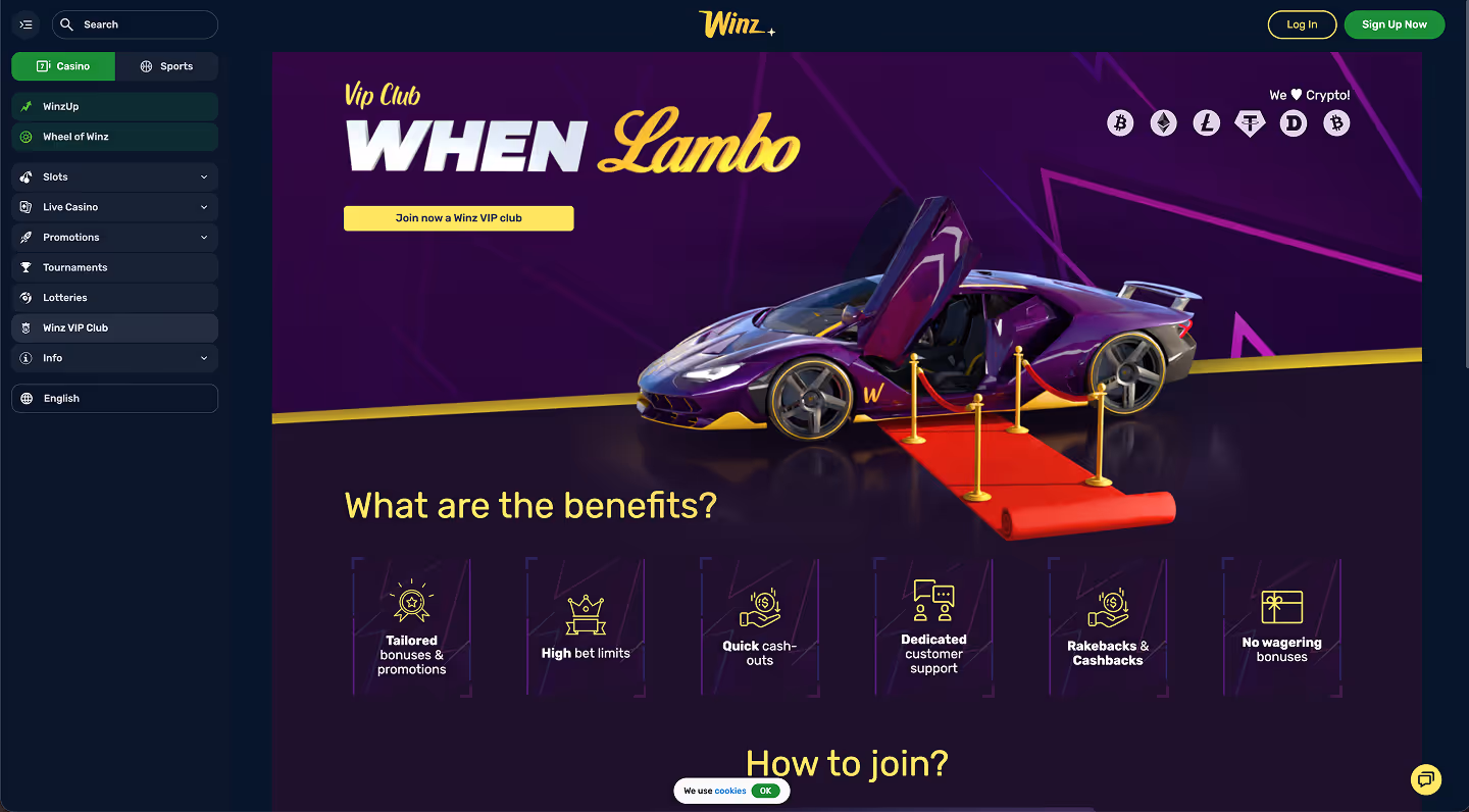 Winz Casino Screenshot VIP Club