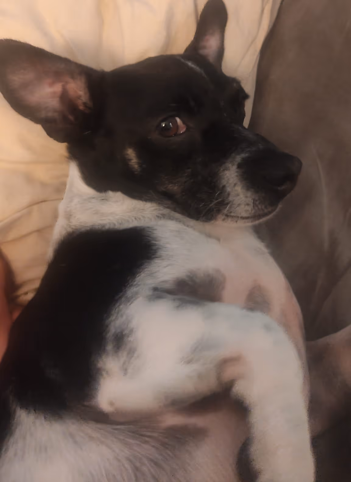 image of parents and staff discussing enrollment