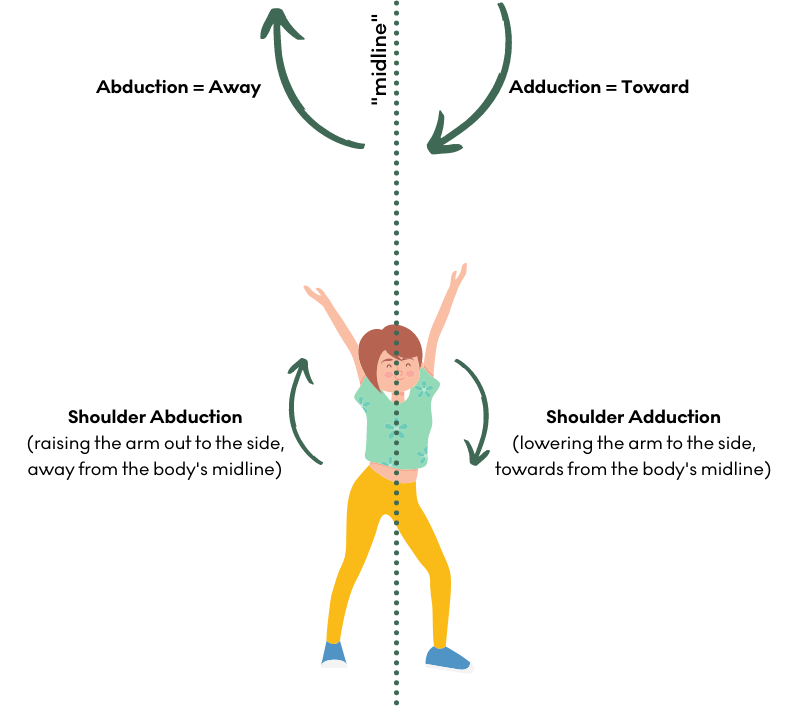 Image demonstrating shoulder abduction and adduction