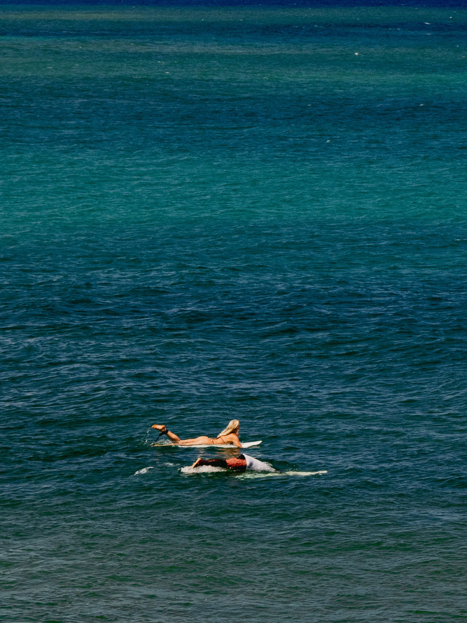 <!-- bind: Hero Alt (text field) -->