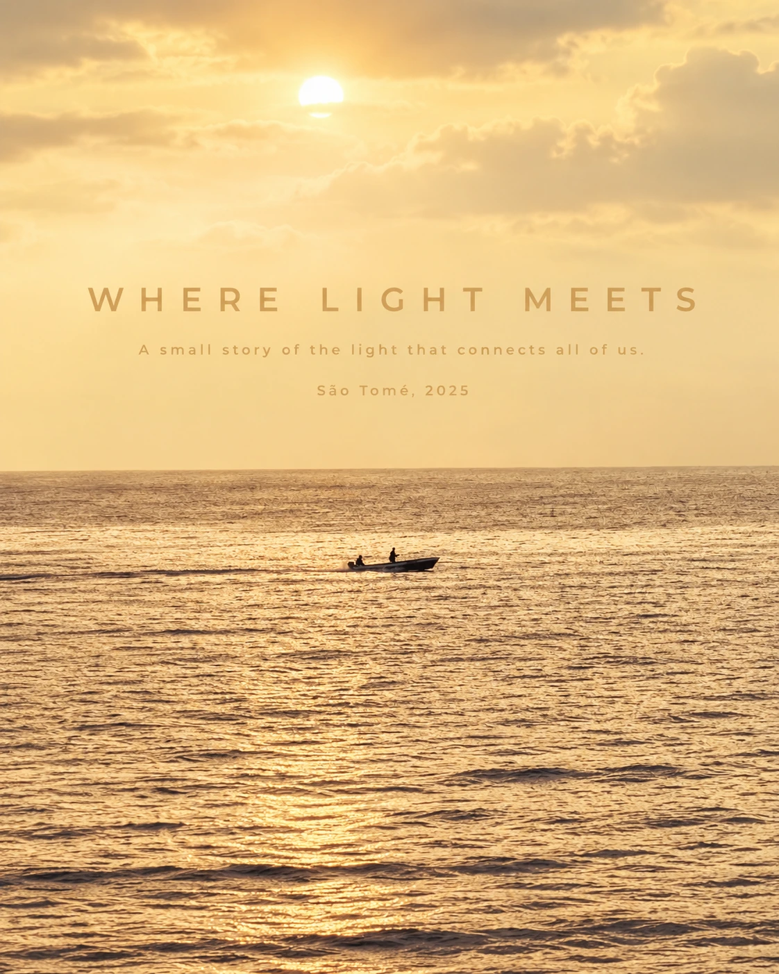 Where Light Meets