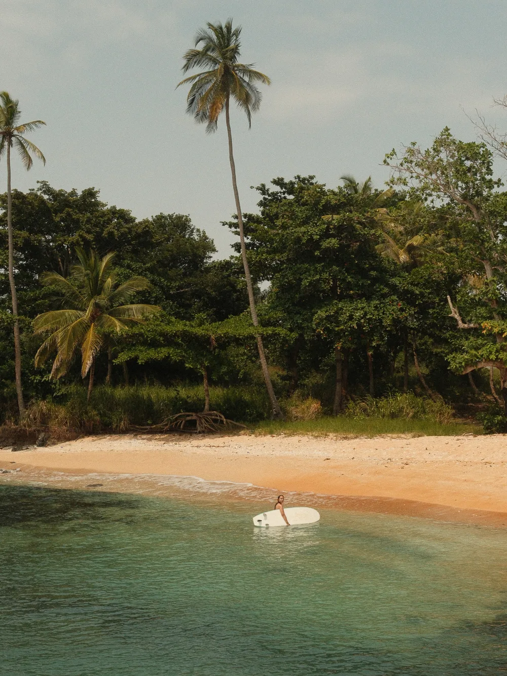 Surfer standing with her board in shallow water framed by palm trees