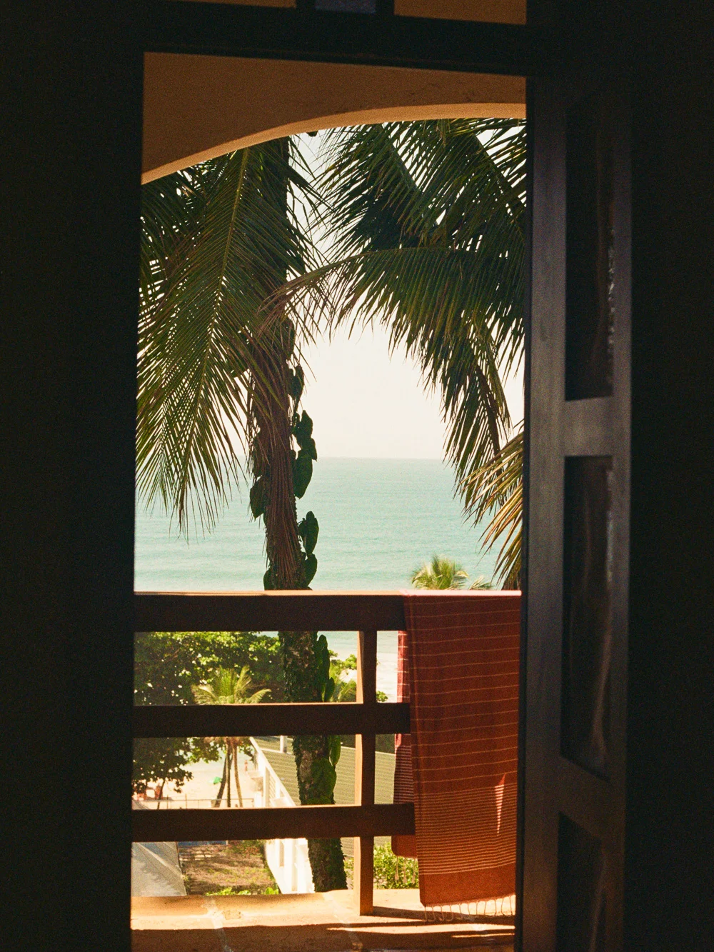 Ocean view through an open door and palm tree from a beachfront room