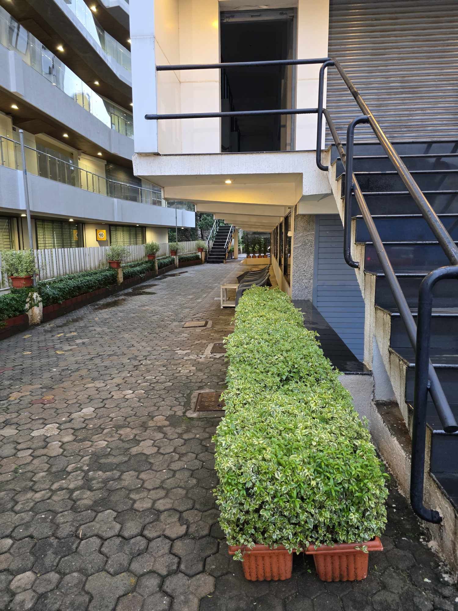 image of left side