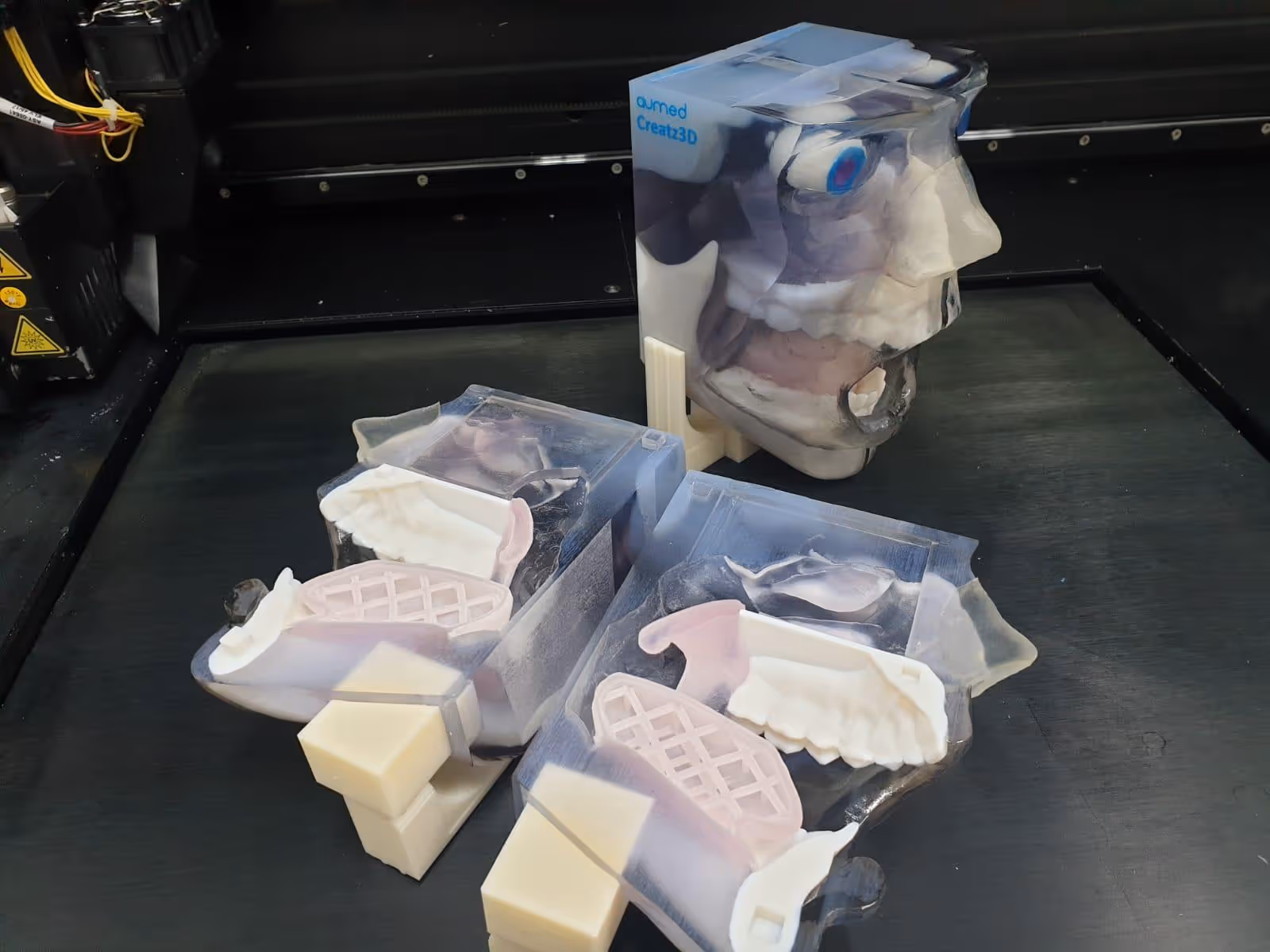 3D Printed Medical Manikin
