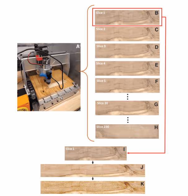 Slices of wood cut using the 3040T CNC machine.