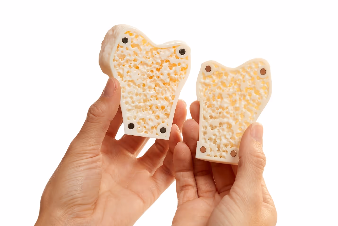 Academic and medical research, as well as training organizations, can use GrabCAD Voxel Print to create ultra-realistic anatomical models, such as this cancellous, mesh-like bone, for practicing surgical procedures such as cutting, reaming and drilling.