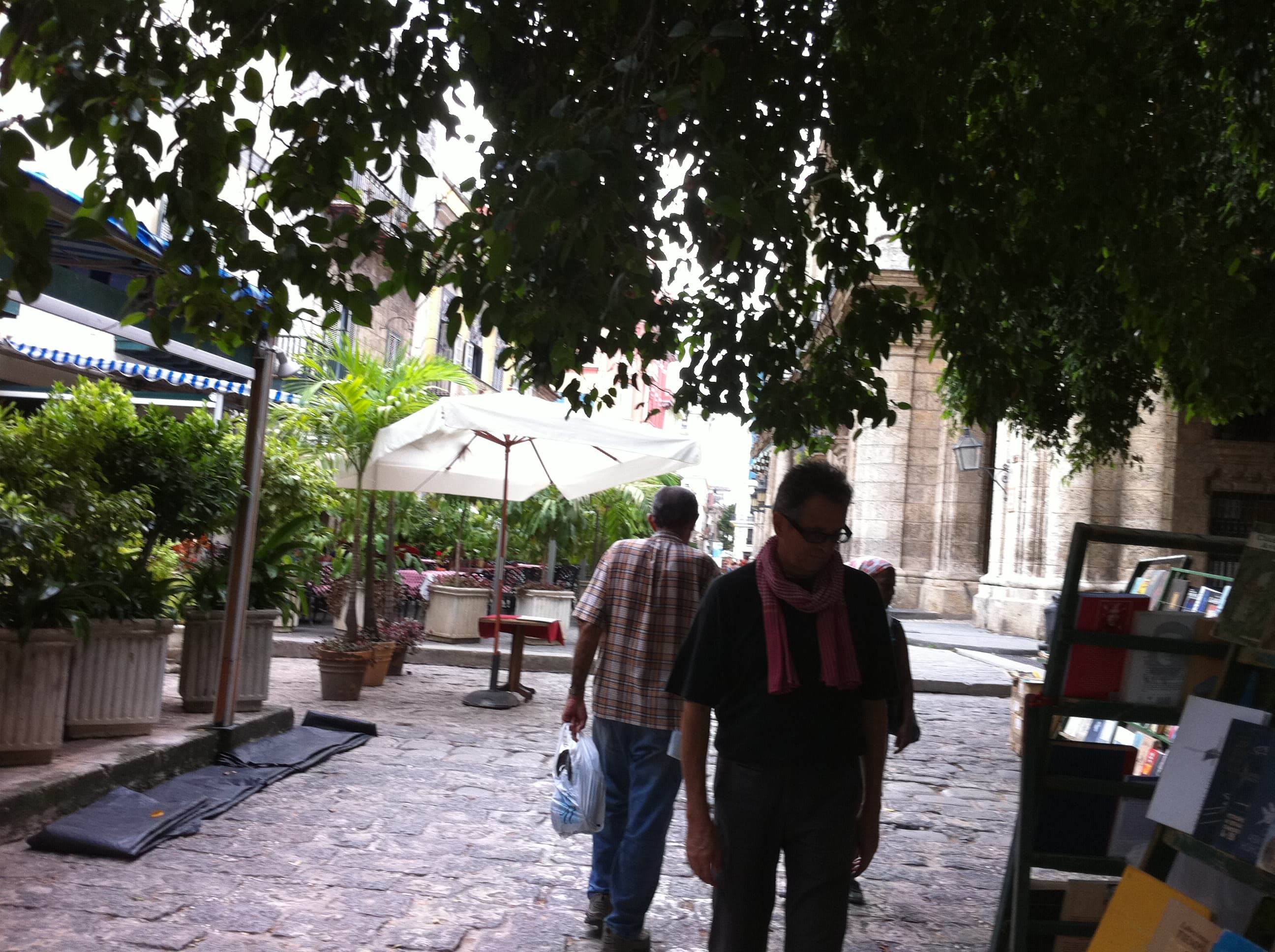 Portrait dans l'ombre de Jacques Carrio, père spirituel du Rouge Levant, retraité de l'ONU et poète.