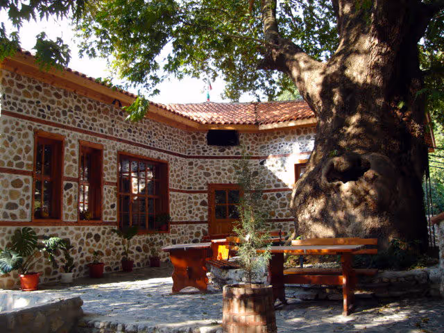 Chinara