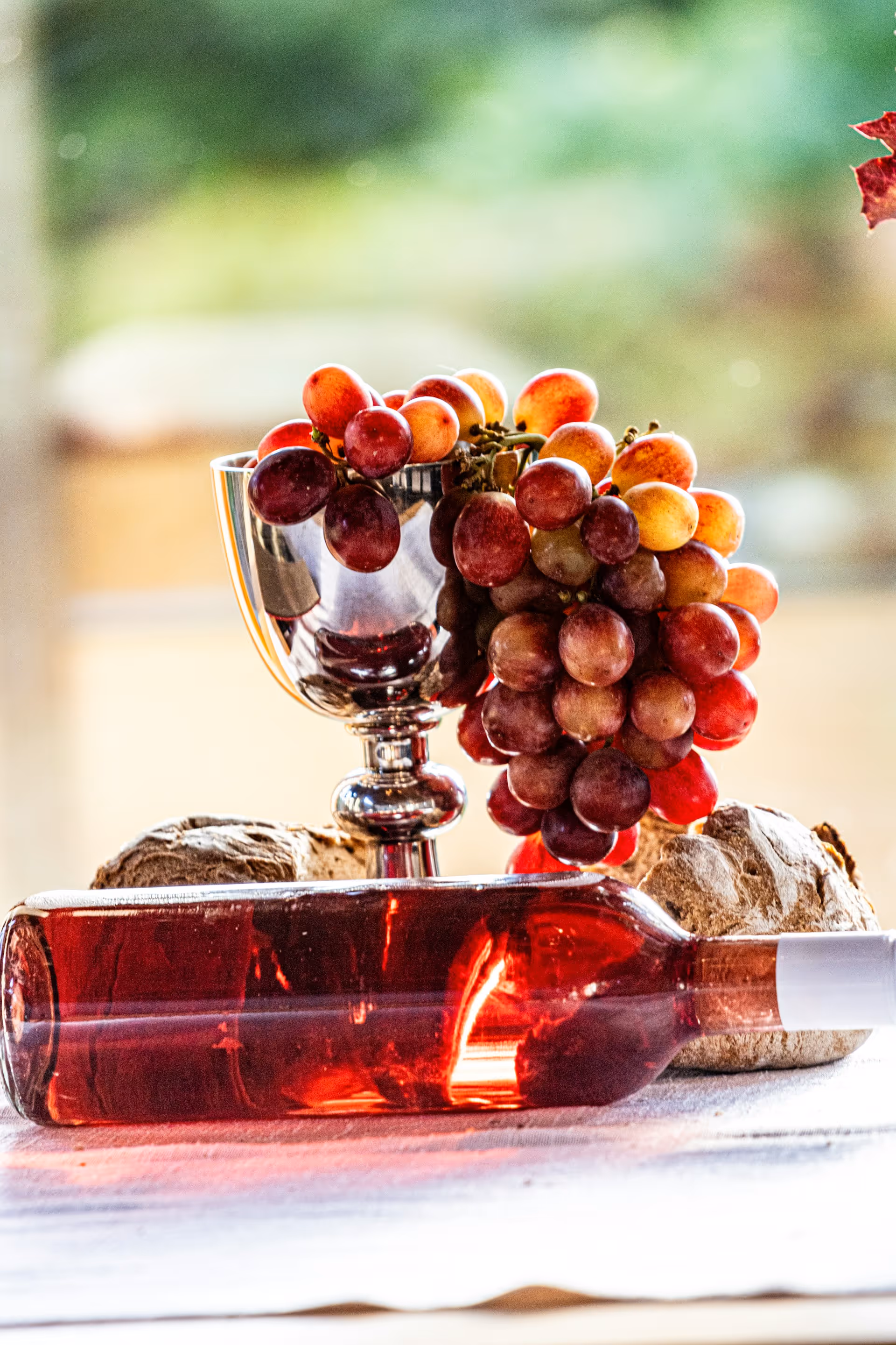 Wine and bread