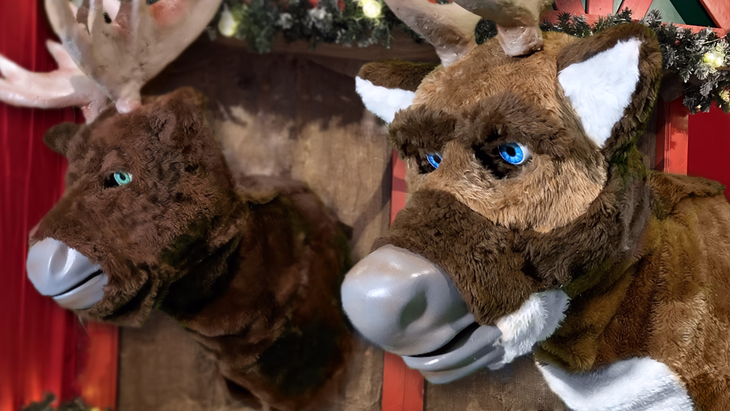 Two animated brown reindeer: reindeer in the foreground with blue eyes, white ears and details, horns; second reindeer on the left with green eyes. Green Christmas decorations in the background