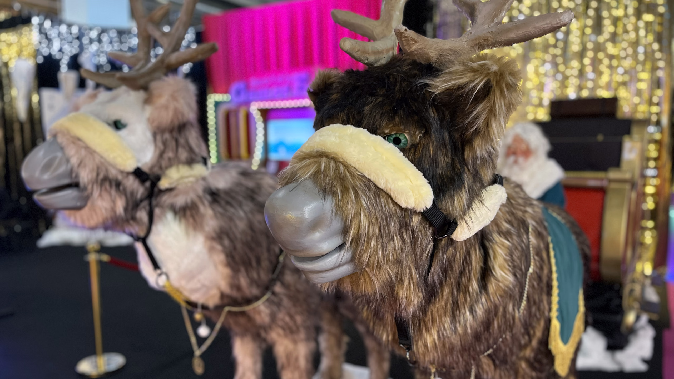 Two animated reindeer: dark brown reindeer in the foreground with horns and green eyes, beige harness; second lighter reindeer in the background on the left with horns and harness. Environment with colorful lights and festive decorations