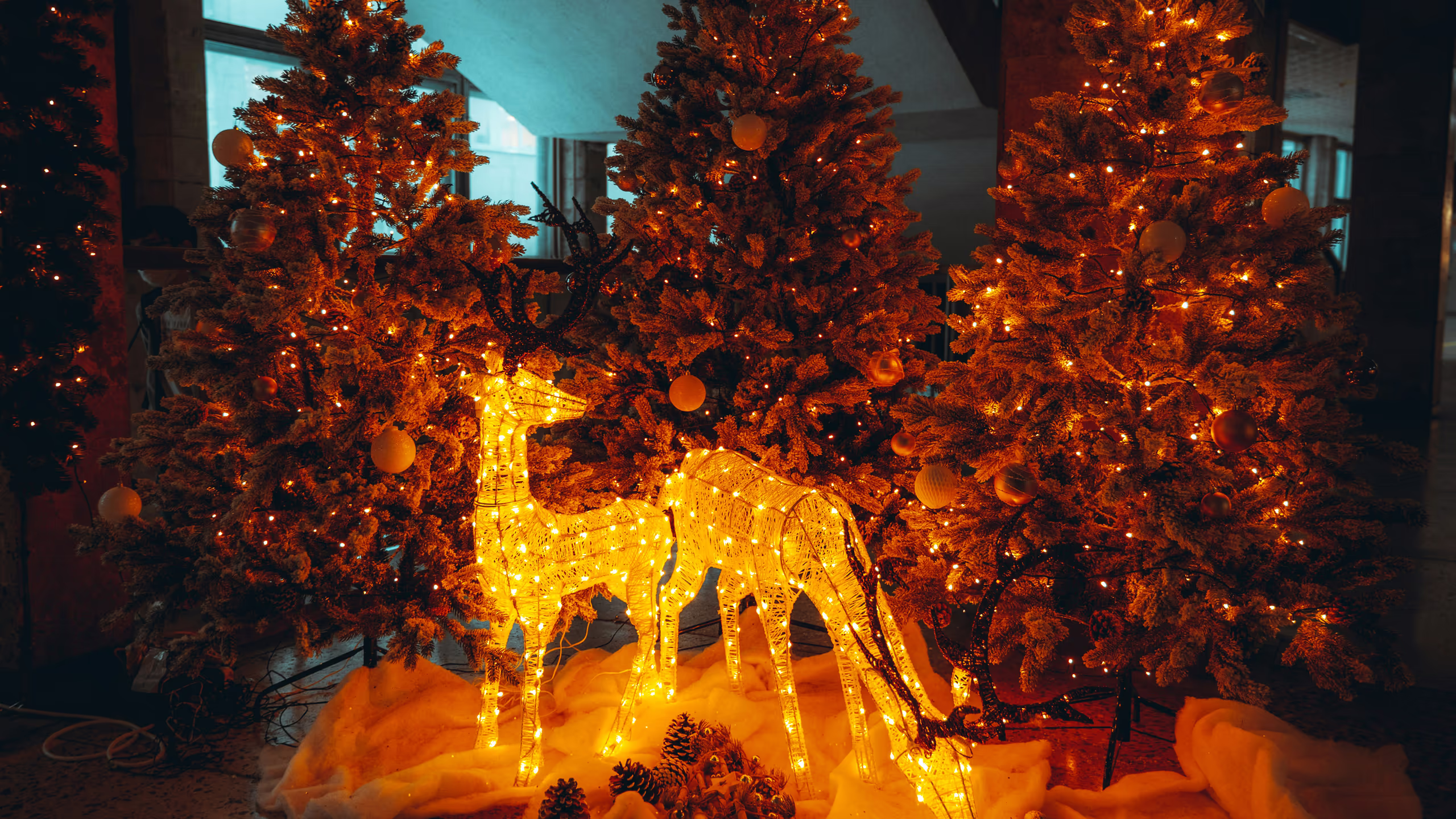 Decorazione natalizia indoor con tre renne luminose realizzate con strutture metalliche e luci LED dorate, posizionate su un tappeto color arancione. Sullo sfondo, alberi di Natale artificiali decorati con luci calde e ornamenti dorati e arancioni creano u