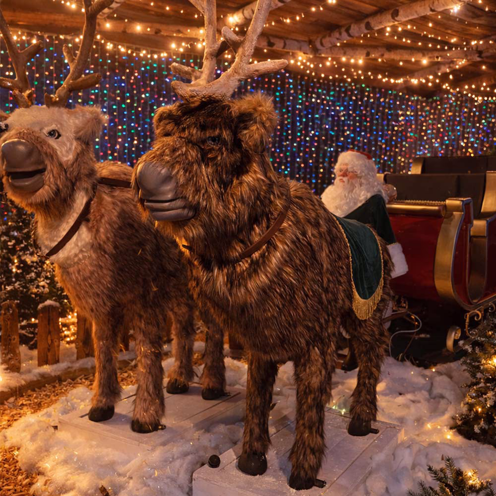 Babbo Natale seduto sulla slitta con due renne finte illuminate da luci natalizie colorate.