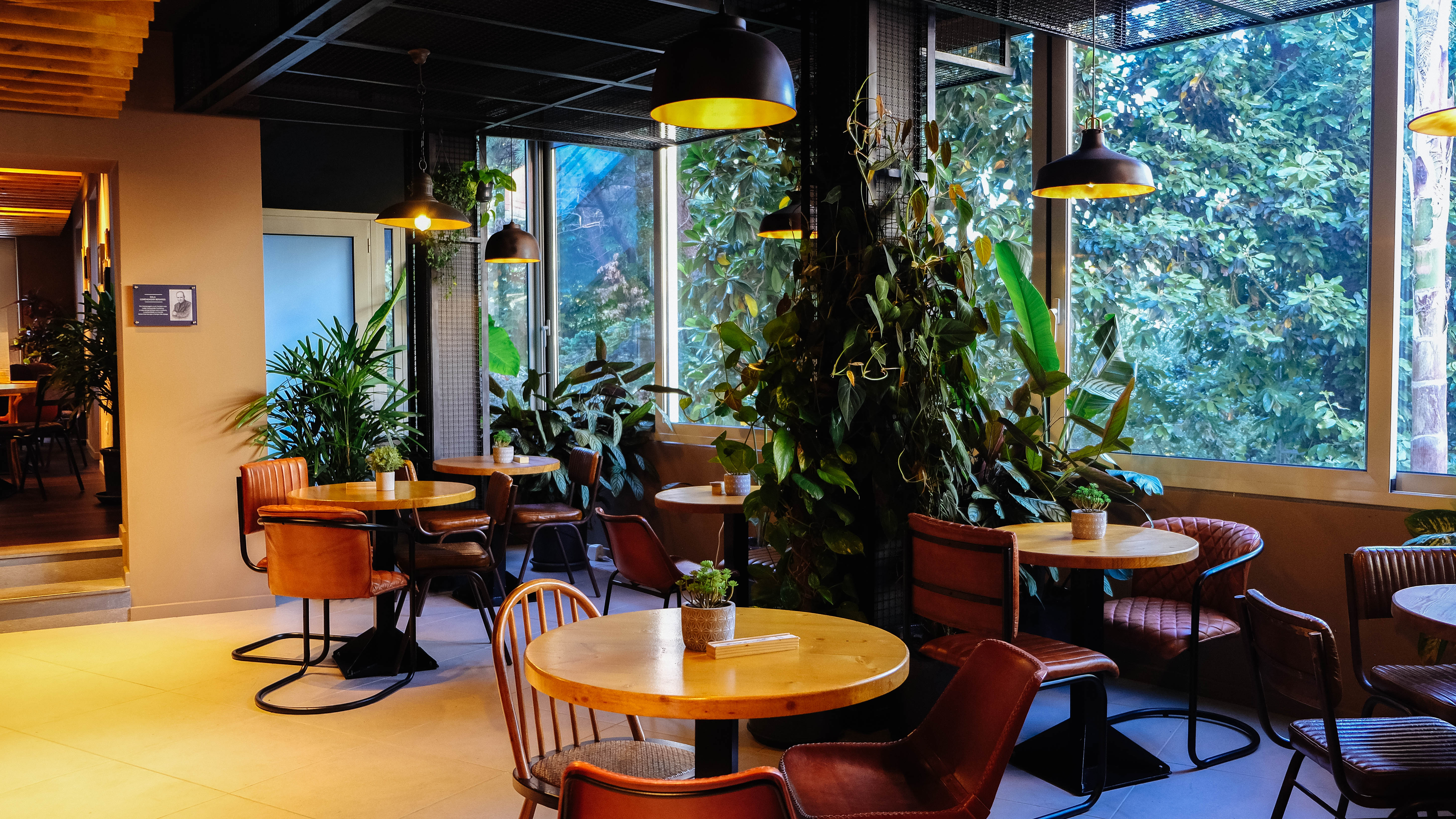 Espaço de café ou restaurante com janelas grandes, muitas plantas, mesas redondas de madeira, cadeiras de diferentes estilos e iluminação natural, criando um ambiente acolhedor e verde