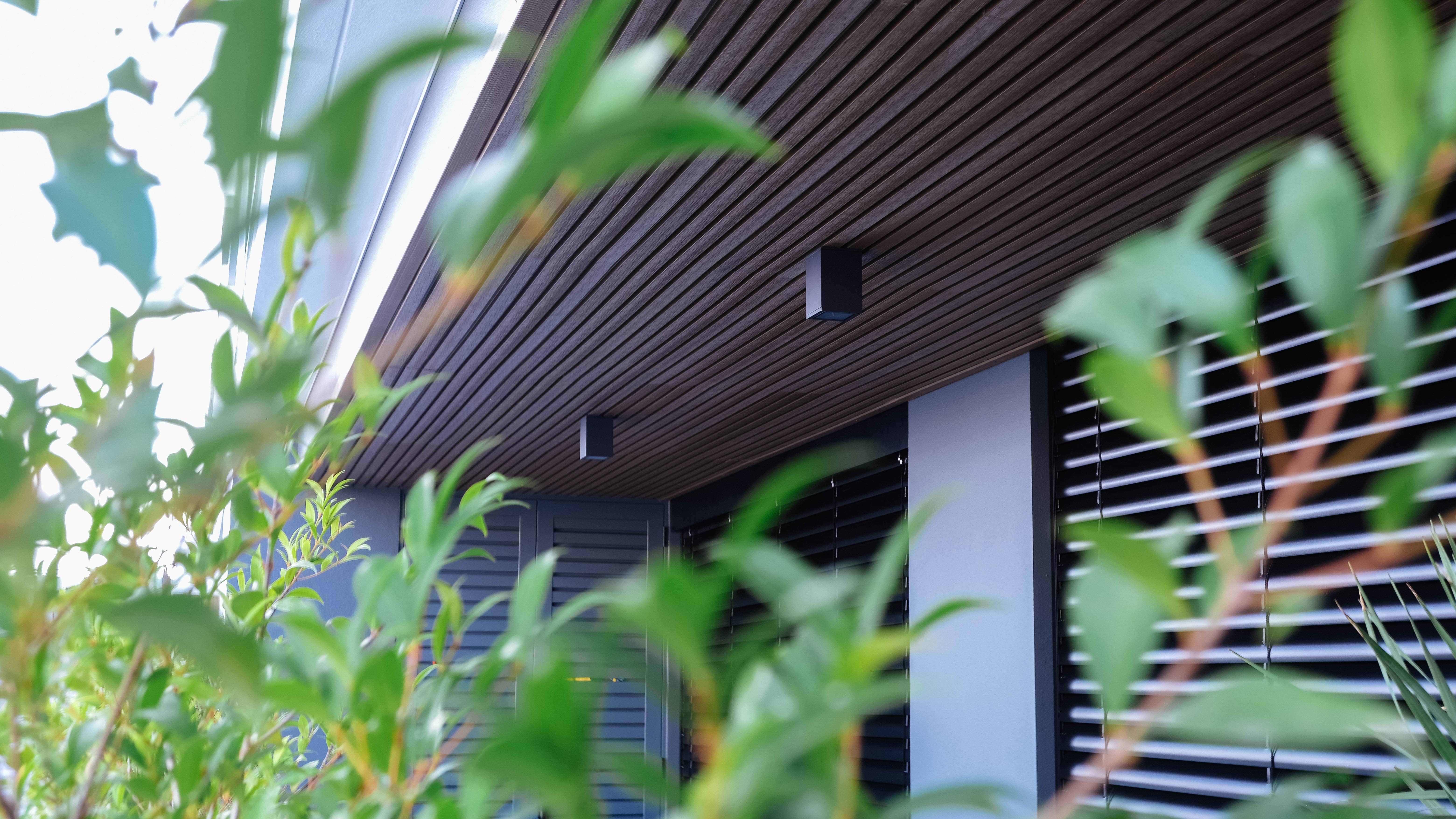 Pormenor da parte superior de um edifício moderno, com um teto revestido com ripas de madeira escura. A imagem foca na perspetiva através das folhas de uma planta em primeiro plano.